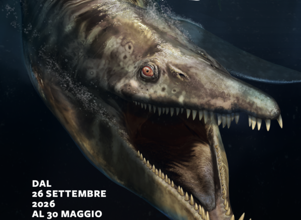 Locandina PaleoAquarium